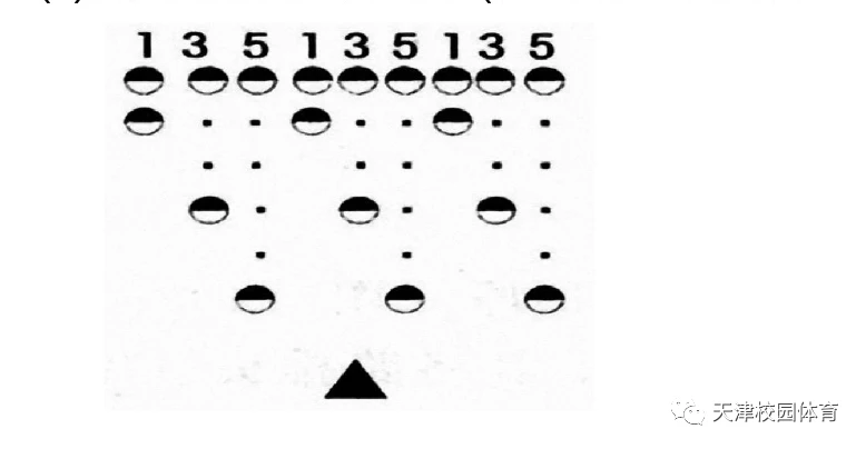 为什么可靠的篮球技术指导对初学者很重要?_1